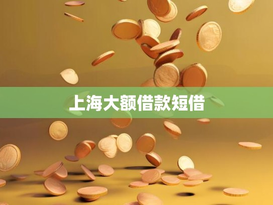 上海大额借款短借 上海大额借款短借