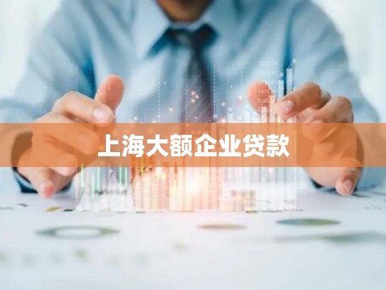上海大额企业贷款 上海大额企业贷款