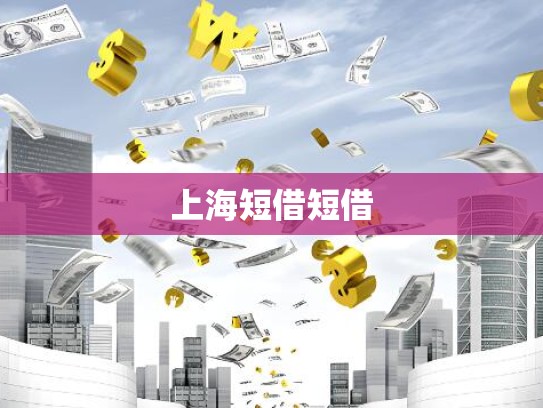 上海短借短借 上海短借短借
