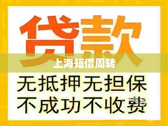 上海短借周转 上海短借周转